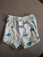 Allerlei Babykleding Maat 74, Kinderen en Baby's, Babykleding | Maat 74, Ophalen, Gebruikt, Jongetje of Meisje