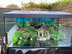 Aquarium 54l te koop, Dieren en Toebehoren, Ophalen, Zo goed als nieuw