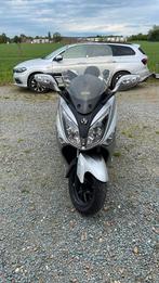 Sym 300cc 2013, Motos, 1 cylindre, 12 à 35 kW