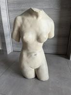 Statue Venus, Enlèvement