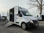 RENAULT MASTER PAARDENCAMIONETTE 170PK THEAULT PROTEO 2019, Dieren en Toebehoren, Ophalen, Gebruikt, Overige materialen, Overige typen