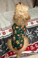 dog sweater / dog sweater, Dieren en Toebehoren, Hondenkleding, Ophalen, Nieuw, Hondenjurk