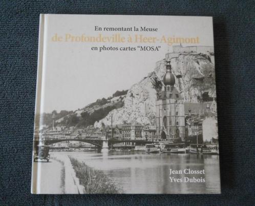 En remontant la Meuse de Profondeville à Heer-Agimont, Livres, Histoire nationale, Enlèvement ou Envoi