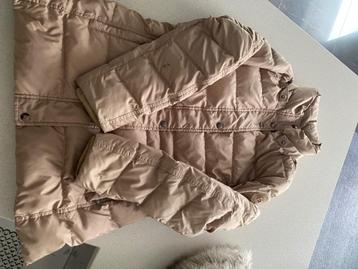 Winterjas Tommy Hilfiger  beschikbaar voor biedingen