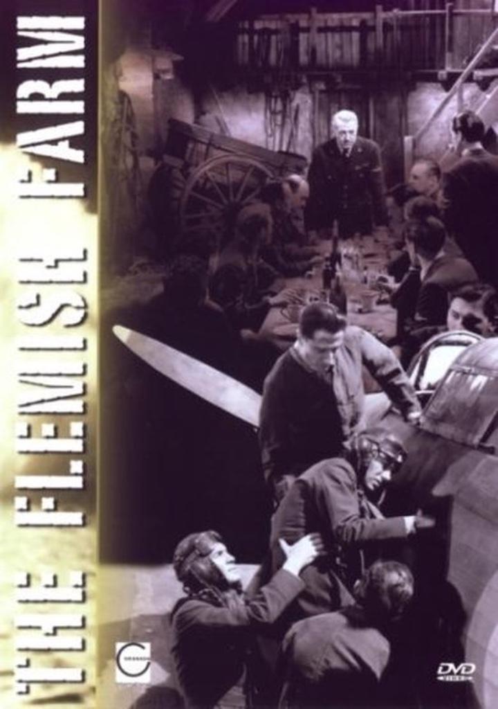 The Flemish Farm, CD & DVD, DVD | Action, Enlèvement ou Envoi