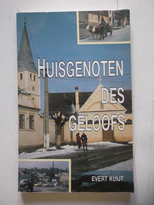 Huisgenoten des geloofs, Boeken, Godsdienst en Theologie, Zo goed als nieuw, Christendom | Katholiek, Christendom | Protestants