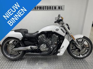 Harley Davidson VRSCF MUSCLE V-ROD 1250 ABS WHITE SPECIAL BO beschikbaar voor biedingen