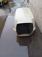 Honden benches ( groot ), Dieren en Toebehoren, Ophalen