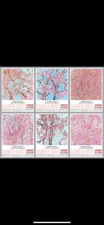 Damien Hirst - Cherry Blossoms - 6x beschikbaar voor biedingen