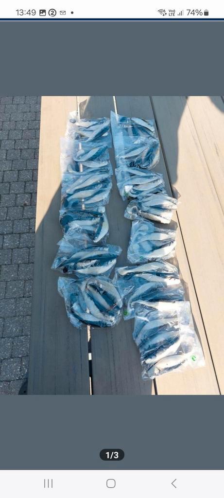 Shads 12 cm voor roofvis 50 stuks., Watersport en Boten, Hengelsport | Roofvissen, Nieuw, Ophalen