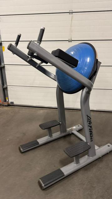 Life Fitness Signature Series Leg Raise beschikbaar voor biedingen