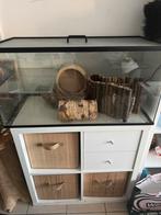 Kooi knaagdier, Dieren en Toebehoren, Ophalen, Zo goed als nieuw, Kooi