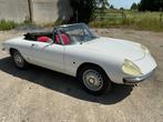 1968 Alfa Romeo Spider Duetto Oldtimer, Auto's, Gebruikt, Cabriolet, Spider, Bedrijf