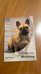 Esther Verhoef - Franse Bulldog, Neuf, Enlèvement, Chiens, Esther Verhoef
