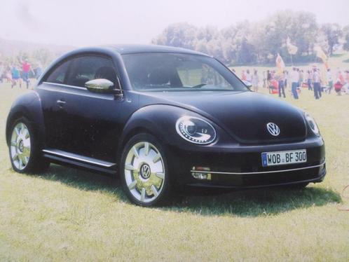 Volkswagen VW Beetle Fender 2012 brochure, Boeken, Auto's | Folders en Tijdschriften, Volkswagen, Ophalen of Verzenden