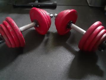 Dumbell set (halterset) beschikbaar voor biedingen