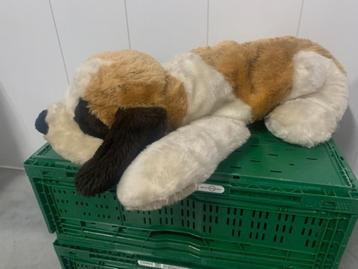 Knuffel grote hond beschikbaar voor biedingen