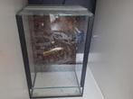 Terrarium 20x20x30 met achterwand, Dieren en Toebehoren, Ophalen, Zo goed als nieuw, Terrarium of Paludarium