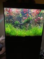 Aquarium jewel lido 200, Ophalen, Gebruikt, Gevuld zoetwateraquarium