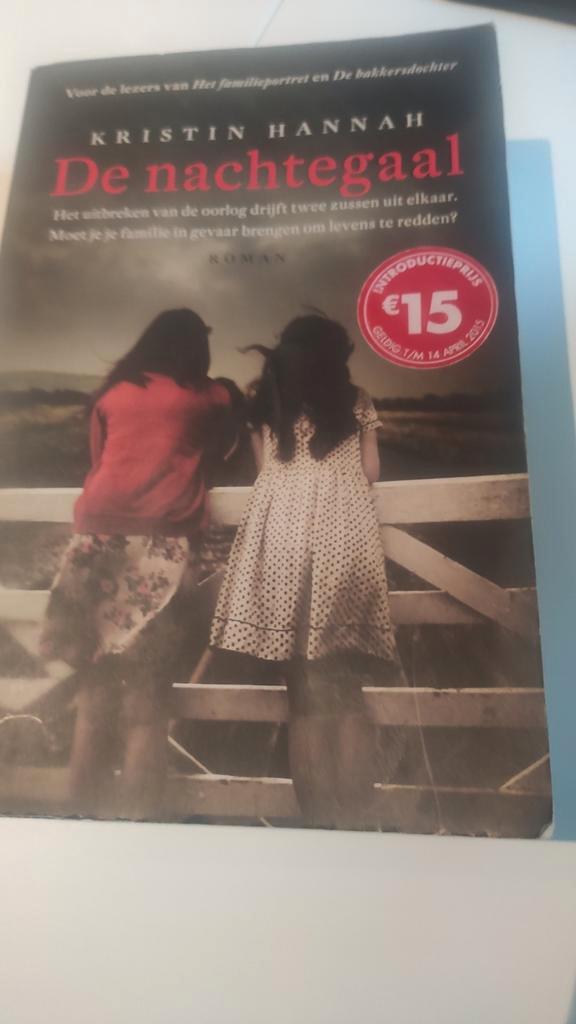 Kristin Hannah - De nachtegaal, Boeken, Literatuur, Zo goed als nieuw, Ophalen of Verzenden