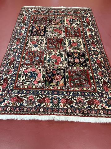 Prachtig Perzische handgeknoopt tapijt IRAN (Bakhtiar)