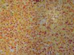 olieschilderij abstract confetti party (60x80), Ophalen of Verzenden