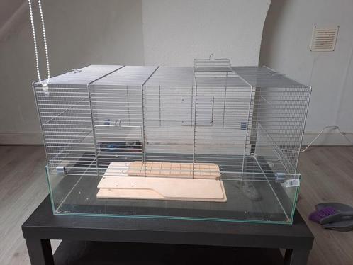 Hamsterkooi + Benodigdheden, Dieren en Toebehoren, Knaagdieren en Konijnen | Hokken en Kooien, Zo goed als nieuw, Kooi, Hamster