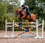 Knappe C pony te koop, Dieren en Toebehoren, Merrie, Niet van toepassing, C pony (1.27m tot 1.37m), 7 tot 10 jaar