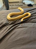 0.1 Amel Palmetto Stripe Tessera 4 jaar, Dieren en Toebehoren, Slang, Tam