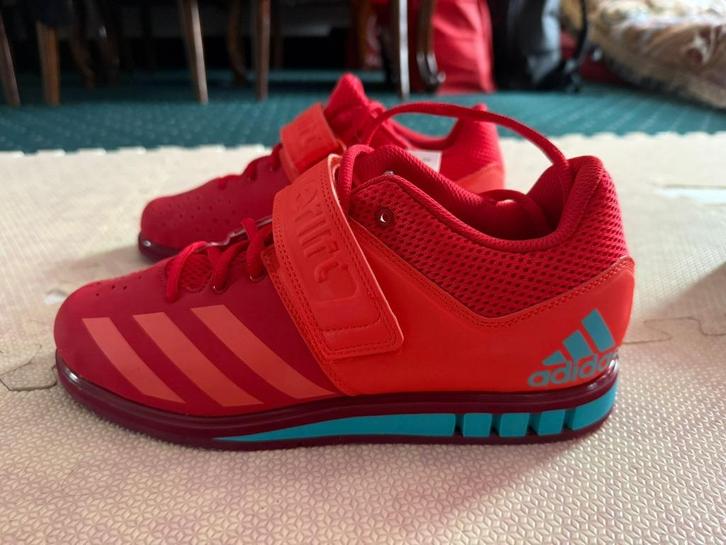 Adidas Powerlift 3.1 sportschoenen, Kleding | Heren, Schoenen, Nieuw, Sportschoenen, Overige kleuren, Ophalen of Verzenden