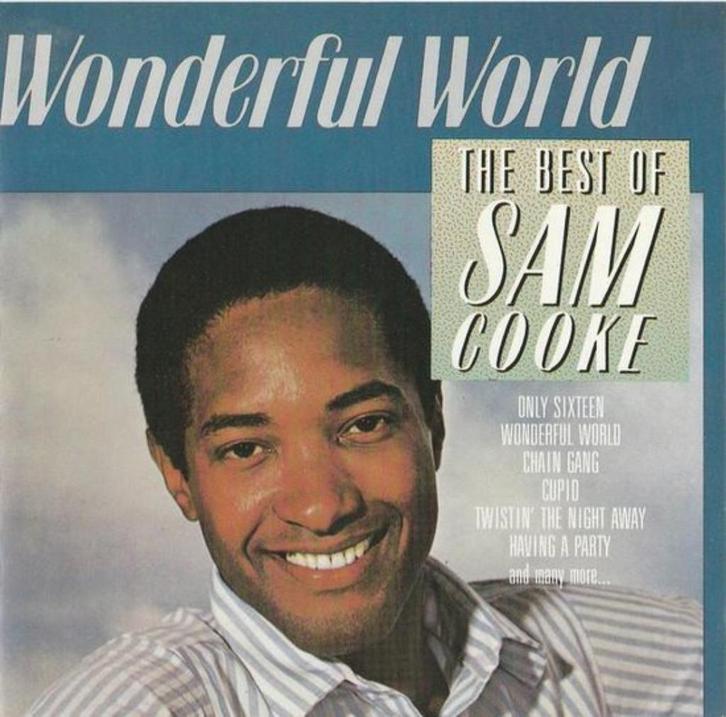 Sam Cooke - Wonderful world : The Best Of Sam Cooke, Cd's en Dvd's, Cd's | Pop, Ophalen of Verzenden