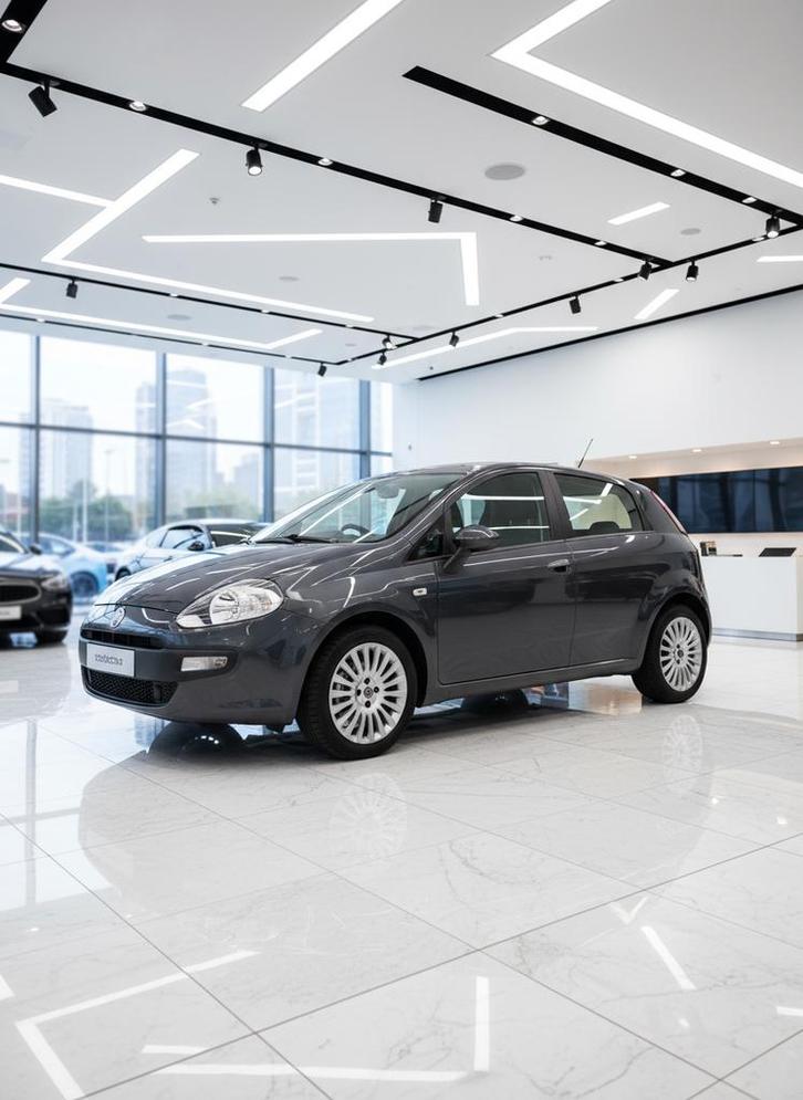 Fiat Punto Evo Multijet 1.3 diesel 2010, Auto's, Fiat, Particulier, Punto EVO, Airconditioning, Diesel, Handgeschakeld, Ophalen