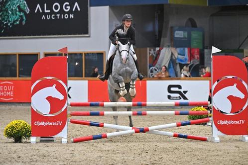 paardrijlessen, Dieren en Toebehoren, Paarden