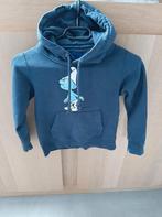 M116- Trui smurfen, Trui of Vest, Ophalen of Verzenden, Zo goed als nieuw, Smurfen