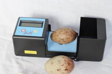Digitale hartslagmeter Buddy beschikbaar voor biedingen