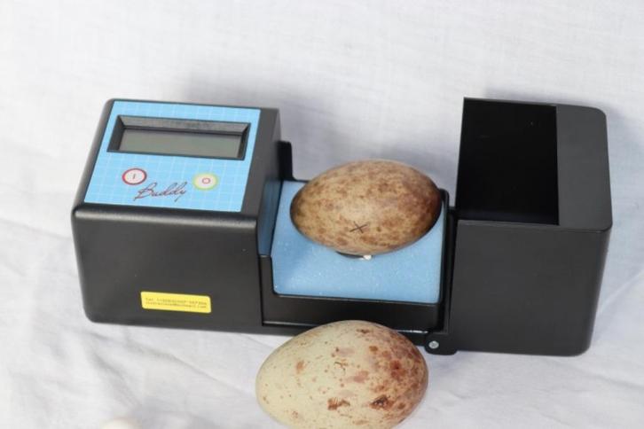 Digitale hartslagmeter Buddy, Dieren en Toebehoren, Vogels | Toebehoren, Nieuw, Overige typen, Ophalen of Verzenden