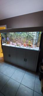 AQUARIUM  180CM  L X 60CM DIEPTE X 70 CM HOOGTE, Ophalen, Gebruikt, Gevuld zoetwateraquarium