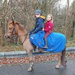 Allrounder C-pony - merrie - 12 jaar, Dieren en Toebehoren, Merrie, C pony (1.27m tot 1.37m), Recreatiepony, 11 jaar of ouder