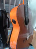 Alhambra 7F gitaar, Muziek en Instrumenten