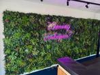Plantwall, Ophalen