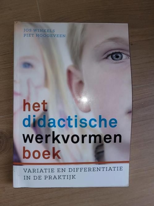 Piet Hoogeveen - Het didactische werkvormenboek, Boeken, Wetenschap, Zo goed als nieuw, Ophalen of Verzenden