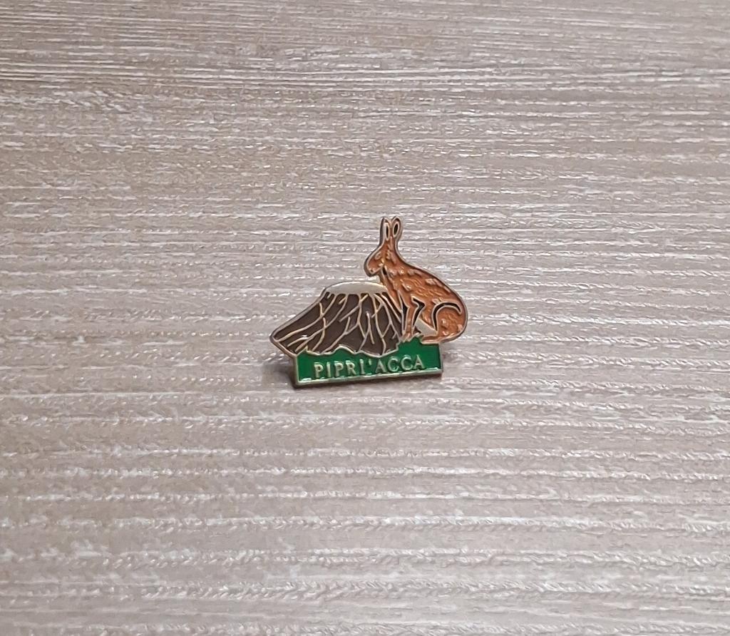 PIN - PIPRI'ACCA - HAAS - JACHT - LIÈVRE - CHASSE, Envoi, Utilisé, Animal et Nature, Insigne ou Pin's