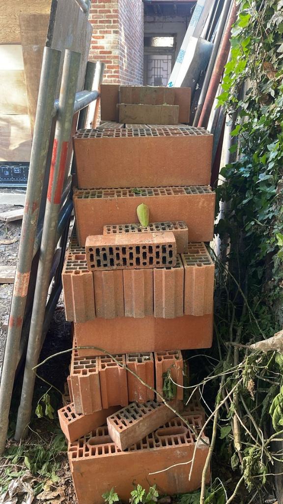 Snelbouwstenen 75 stuks, Ophalen, Nieuw, Bakstenen