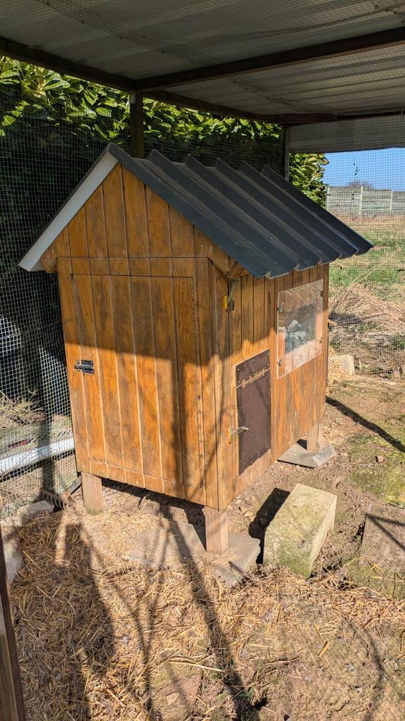 Poulailler en bois avec pondoir, Animaux & Accessoires, Volatiles | Accessoires, Poulailler