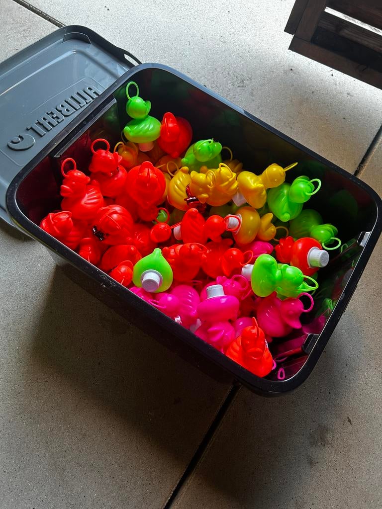 Eendjes vissen met hengels, Enlèvement