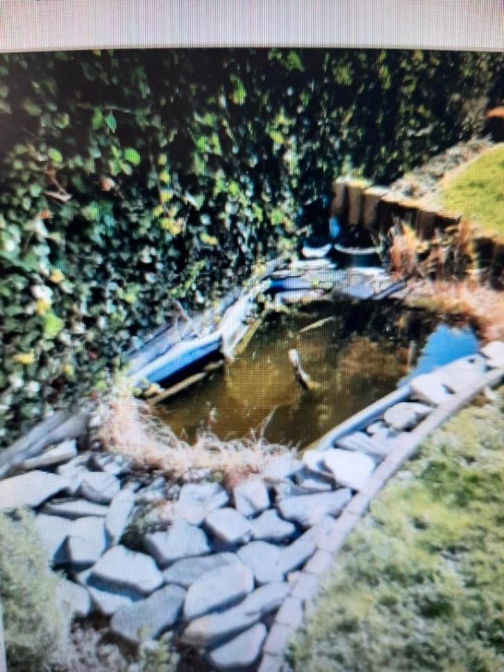 VIJVERBAK UBINK START 750 + FILTER+LAMP, Tuin en Terras, Vijvers, Ophalen