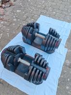 Verstelbare dumbbells – set tot 40kg met houder, Ophalen, Gebruikt, Dumbbell