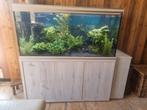Aquarium aquatlantis 500l, Dieren en Toebehoren, Ophalen