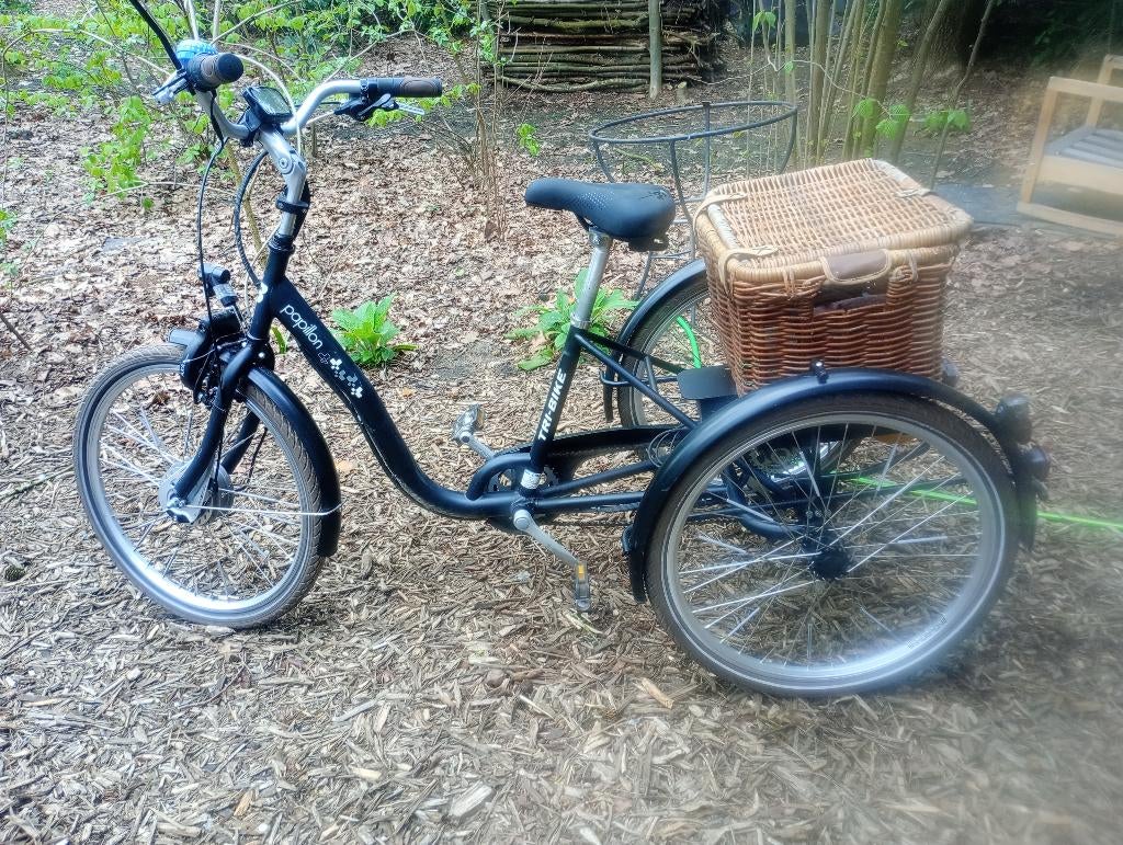 Driewieler tri-bike elektrisch, Ophalen, Gebruikt, Tri Bike
