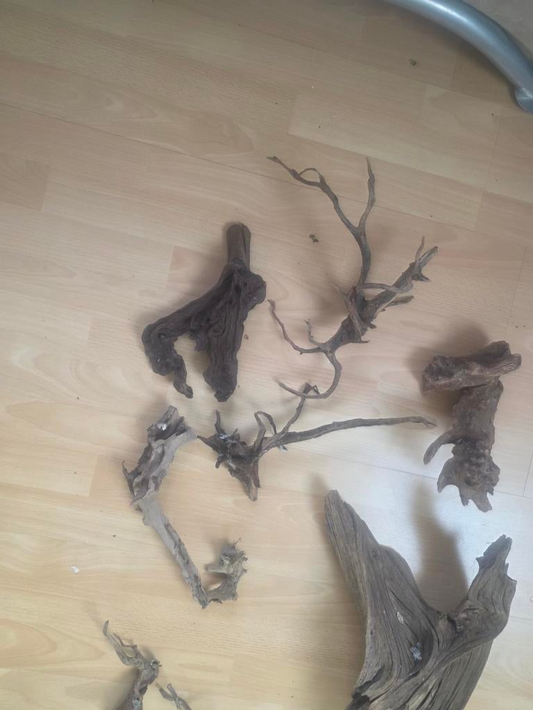 Aquarium hout, Ophalen